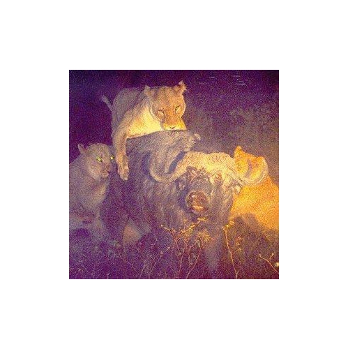 Varnaline [Audio CD] Varnaline