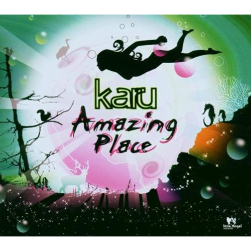 Amazing Place [Audio CD] Karu