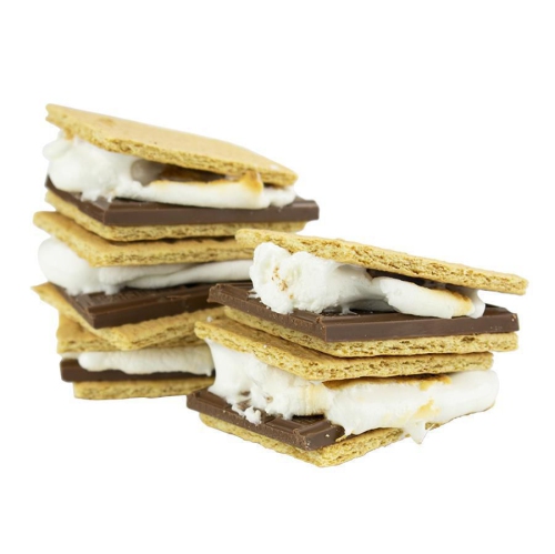 Brentwood Indoor Electric S’mores Maker