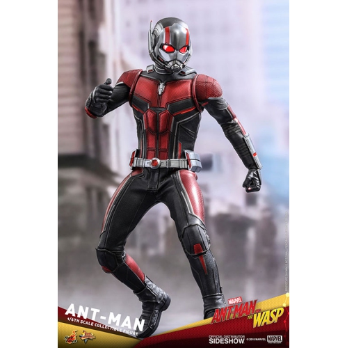MARVEL  Ant-Man And The Wasp 12 Inch Action Figure Movie Masterpiece 1/6 Scale Series - Ant-Man Hot Toys 903697