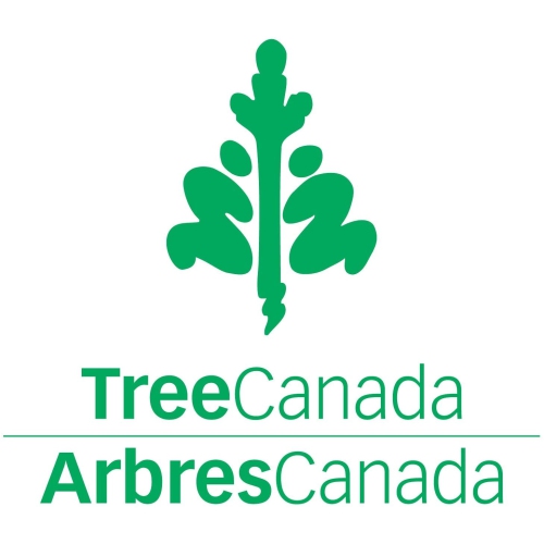 Honeywell HFD140BCV1 QuietClean Purificateur d'air pour chambre moyenne-grande, avec filtre lavable permanent et préfiltre réduit les odeurs/COV,