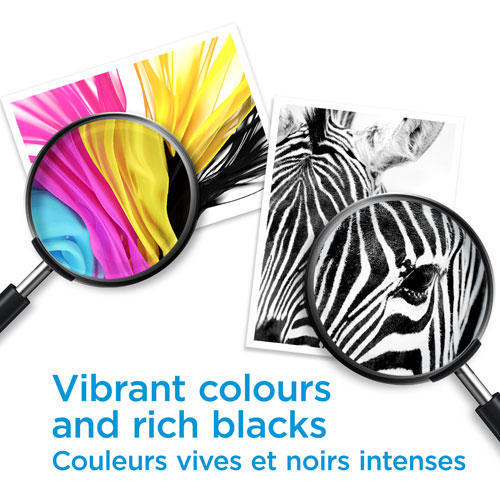 HP 67XL Black Ink (3YM57AN#140)