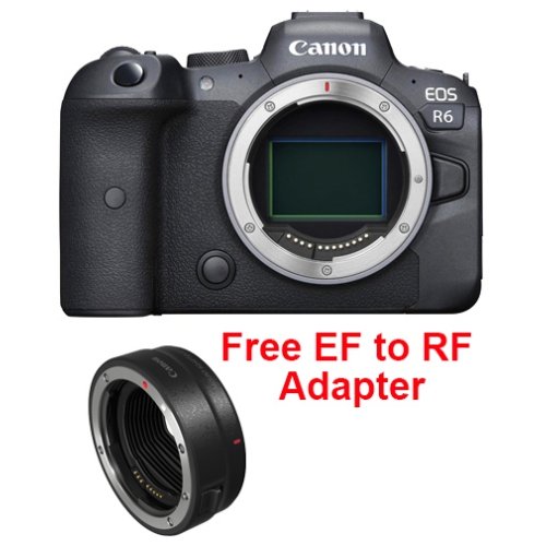 Canon EOS R6 Body + EF to RF Adapter