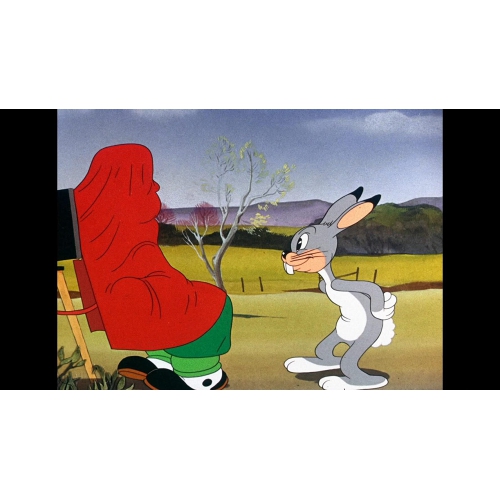 Looney Tunes Spotlight Collection: The Premiere Edition [DVD Box Set]