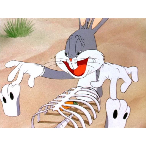 Looney Tunes Spotlight Collection: The Premiere Edition [DVD Box Set]