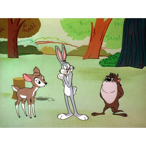 Looney Tunes Spotlight Collection: The Premiere Edition [DVD Box Set]