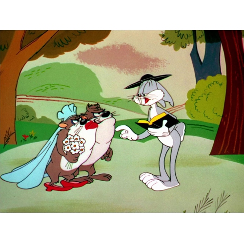 Looney Tunes Spotlight Collection: The Premiere Edition [DVD Box Set]