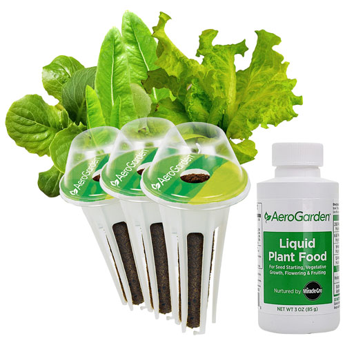Ensemble de capsules de semences de salades vertes Heirloom d'AeroGarden - Paquet de 3