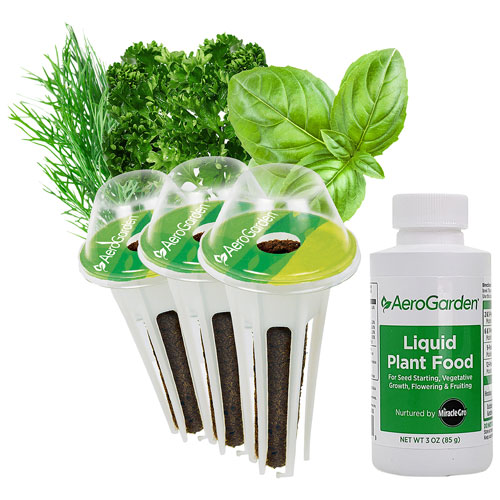 Ensemble de capsules de semences de fines herbes Gourmet d'AeroGarden - Paquet de 3