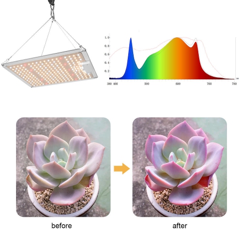 218 LED Grow Light，Full Spectrum 3000K 5000K 660nm 760nm IR Plant Grow Lamp for Indoor Plants Seeding Veg and Bloom