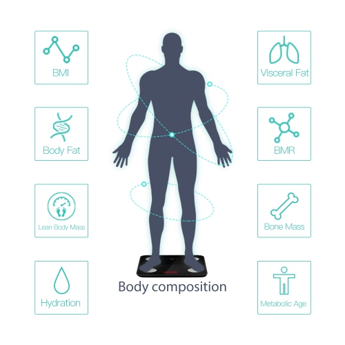 NOERDEN MINIMI Smart Scale White Mini Smart Body Scale with Bluetooth Detailed body composition analysis