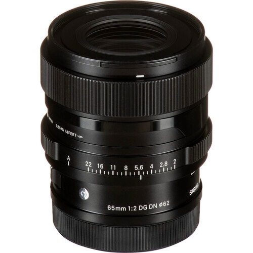 Sigma 65mm f/2 DG DN Leica L-mount Contemporary | Best Buy Canada