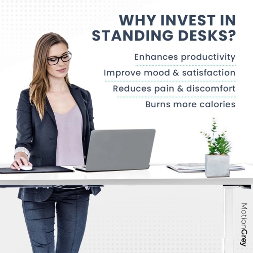 MotionGrey Height Adjustable German Electric Dual Motors Sit to Stand Computer Home Table and Office Standing Desk- White Frame with Tabletop