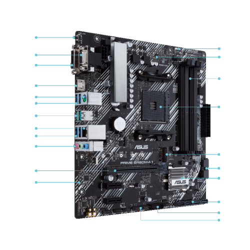 ASUS Micro-ATX AM4 Motherboards