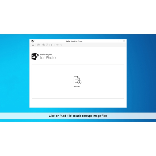Stellar Repair pour logiciel photo | pour Windows | Standard | Repairs Corrupt ou photos endommagées | 1 appareil, Abonnement de 1 an | Email