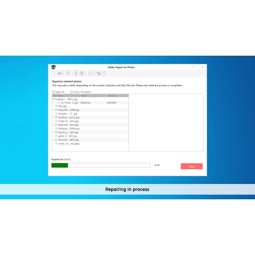 Stellar Repair pour logiciel photo | pour Windows | Standard | Repairs Corrupt ou photos endommagées | 1 appareil, Abonnement de 1 an | Email