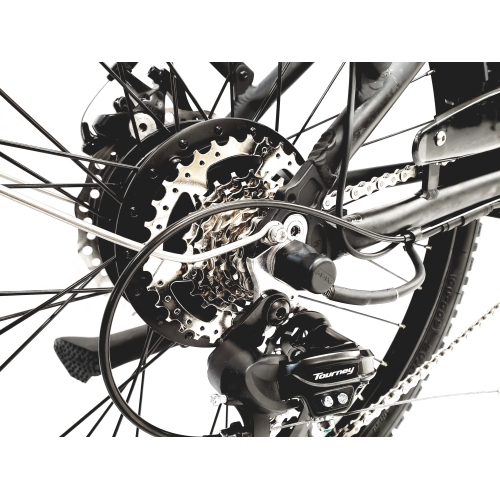 2022 Powerful Bafang 500W Thunder Step-through Electric bike - Thunder E-bike