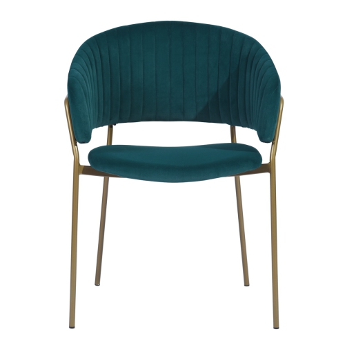 FurnitureR Set of 2 Dining Chairs Side Chair Velvet Upholstery Arm Chairs for Living Room Dining Room