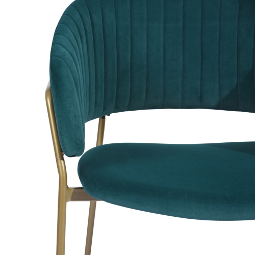 FurnitureR Set of 2 Dining Chairs Side Chair Velvet Upholstery Arm Chairs for Living Room Dining Room