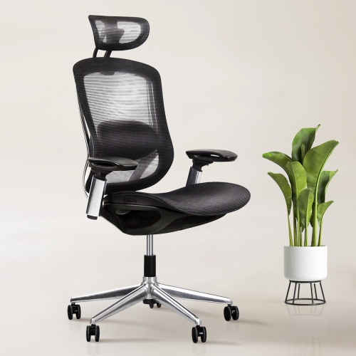 EFFYDESK  Celinichair Heavy-Duty Executive Home Office Chair Ergonomic Desk Chair With Lumbar Support 4D Armrest Adjustable Task Chair Fortunately for me, I prefer the support for my back, so its great