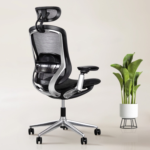 CeliniChair Heavy-Duty Executive Home Office Chair Ergonomic Desk Chair with Lumbar Support 4D Armrest Adjustable Task Chair