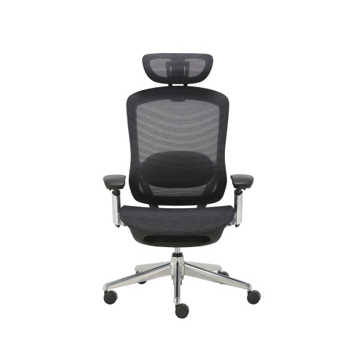 CeliniChair Heavy-Duty Executive Home Office Chair Ergonomic Desk Chair with Lumbar Support 4D Armrest Adjustable Task Chair