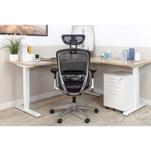 CeliniChair Heavy-Duty Executive Home Office Chair Ergonomic Desk Chair with Lumbar Support 4D Armrest Adjustable Task Chair