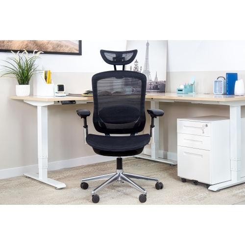 CeliniChair Heavy-Duty Executive Home Office Chair Ergonomic Desk Chair with Lumbar Support 4D Armrest Adjustable Task Chair