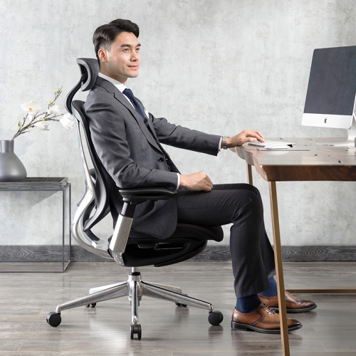 CeliniChair Heavy-Duty Executive Home Office Chair Ergonomic Desk Chair with Lumbar Support 4D Armrest Adjustable Task Chair