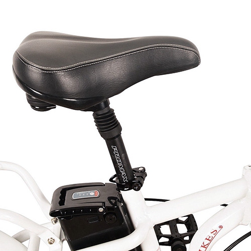 DJ Folding Bike 500W 48V 13Ah Power 