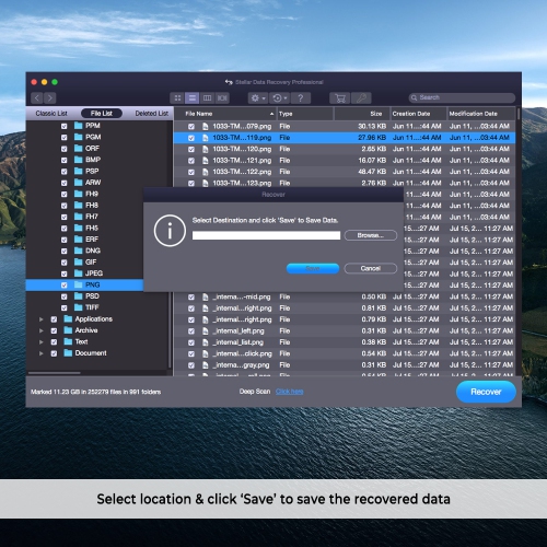 Stellar Data Recovery Software for Mac Professional Recovers Deleted Data, Photos, Videos, Emails 1 PC 1 Year - Digital Download