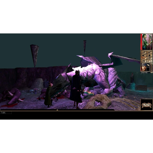 Neverwinter Nights - Enhanced Edition [Nintendo Switch]