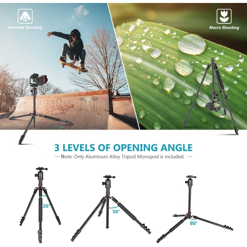 Neewer 77-Inch Tripod, Camera Tripod for DSLR, 2-in-1 Compact Aluminum Tripod Monopod with 360 Degree Ball Head, 2 Center Axis, QR Plate and 8