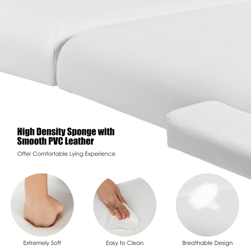 Costway 84''L Portable Massage Table Adjustable Facial Spa Bed Tattoo w/ Carry Case