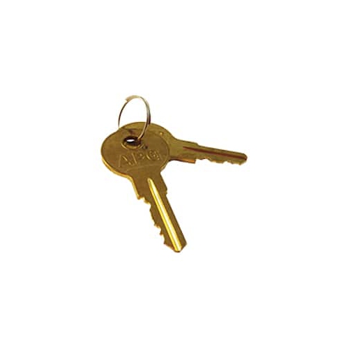 Image 1 of 1.. APG, SPARE PART, SERIES 4000 OR 100 CODED A2 KEY KIT, 2 KEYS
