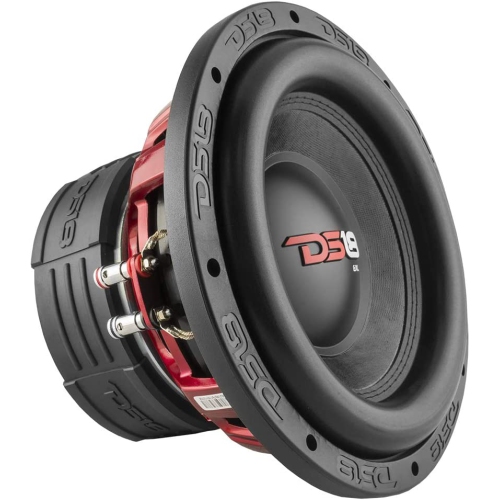 Haut-parleur d’extrêmes graves double de 10 po DS18 EXL-X10,2 D, 750 W max