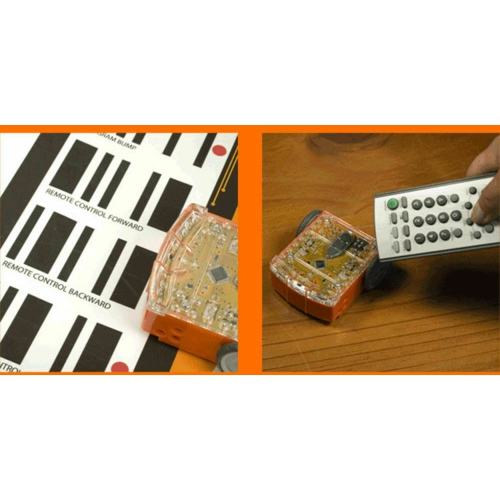 Contempo Views - Educational STEM Pack of 6 Programable Edison Robots for Kids, Teachers, Students, & Classrooms - Includes Remotes, EdCreate,