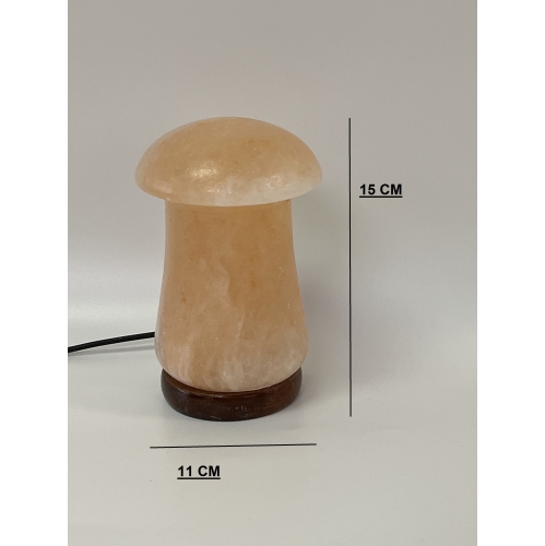 Himalayan Salt - USB Lamp Mushroom Shape Best Gift Item