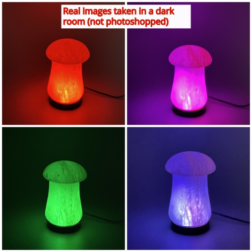 Himalayan Salt - USB Lamp Mushroom Shape Best Gift Item