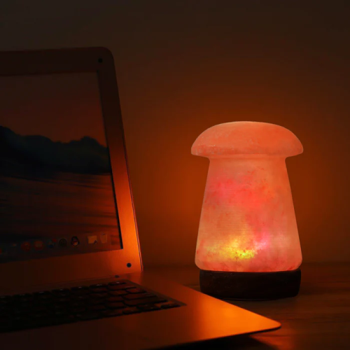 Himalayan Salt - USB Lamp Mushroom Shape Best Gift Item