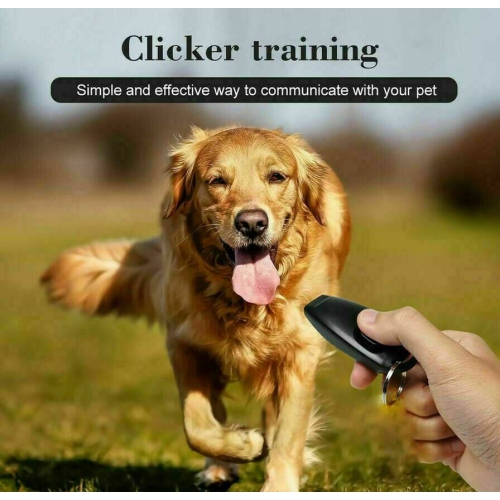 ISTAR 2 Pack Dog Clicker & Whistle, Dog Whistle clicker to Stop Braking, Training Whistle clicker Dog