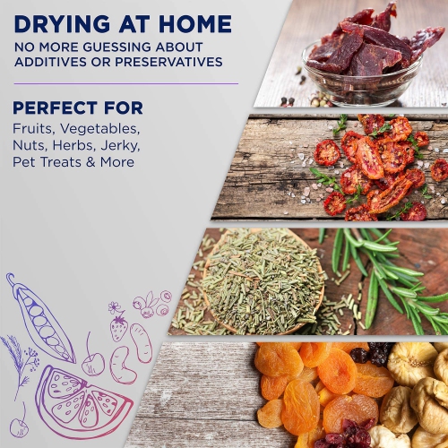 Déshydrateur d’aliments électrique en acier inoxydable de qualité supérieure à 10 plateaux d’Ivation, 1000 w pour sécher les charqui de bœuf, les