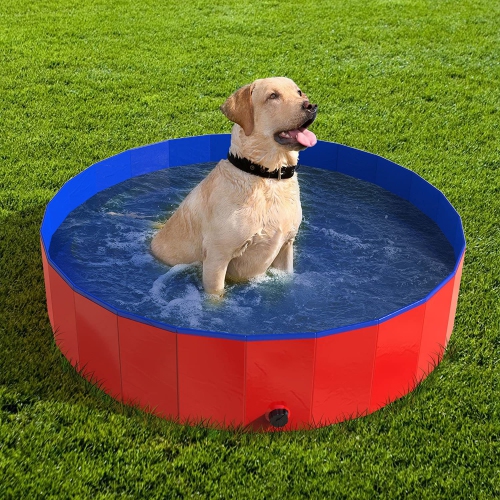 Foldable Dog Pool, Collapsible Hard Plastic Dog Swimming Pool, Portable Bath Tub for Pets Dogs and Cats, Pet Wading Pool for Indoor and Outdoor, 48 x