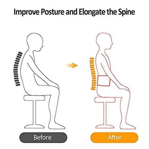 ISTAR Lower Back Support Brace Lumbar Waist Belt Double Pull Adjustable Belt XL UNISEX