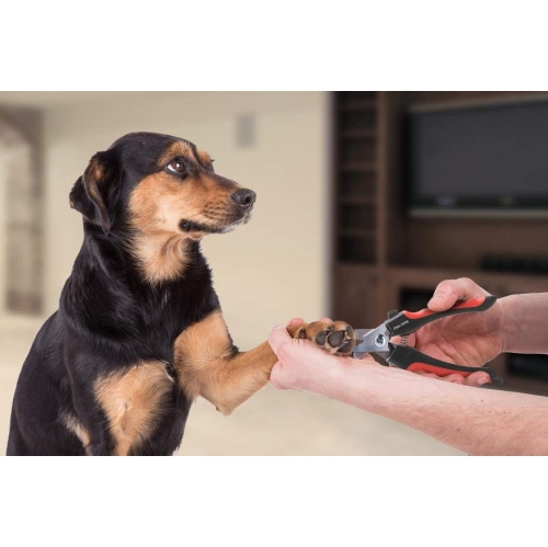 ISTAR Pet Nail Clippers Professional Dog Nail Trimmers Suitable for Large to Medium Dogs, Cats, Rabbits and Guinea Pigs - Safety Lock/Protective