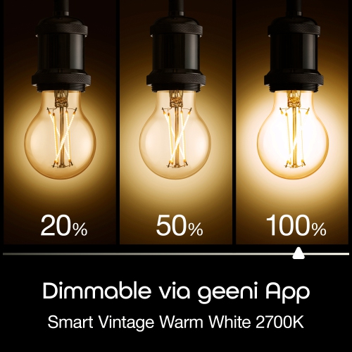 Geeni LUX EDISON 60W Equivalent White Dimmable A19 Smart LED Bulb