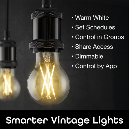 Geeni LUX EDISON 60W Equivalent White Dimmable A19 Smart LED Bulb