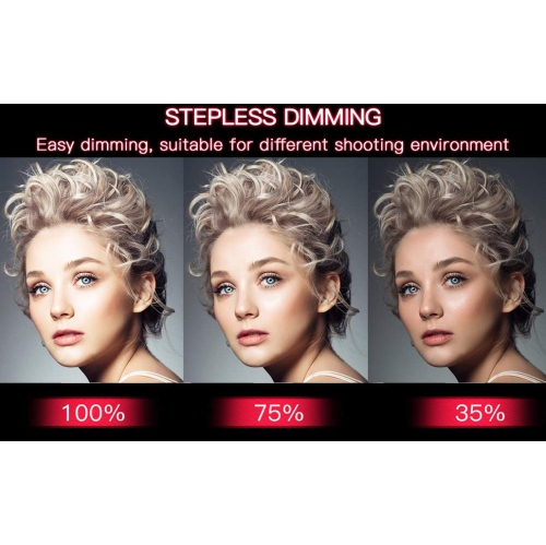 Vivider 18 Inch Dimmable 3200-5500K LED Ring Light with 6.2 FT 1.9 M Stand Lighting Kit for Smartphone Video Shooting Camera Photography, YouTube