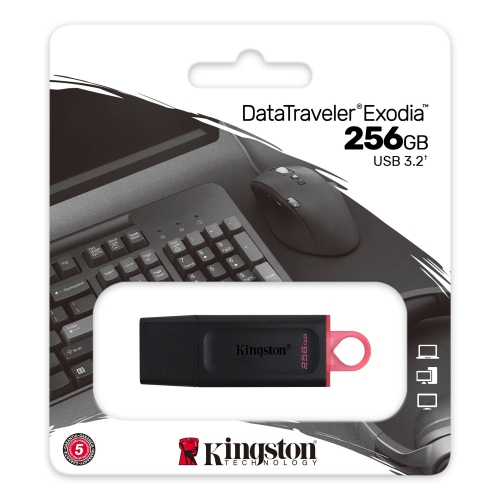 Kingston DataTraveler Exodia 256GB USB 3.2 Flash Drive