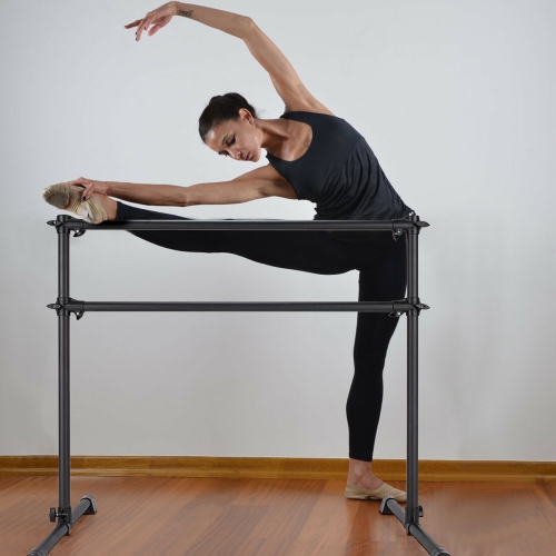 Gymax 4FT Portable Double Freestanding Ballet Barre Dancing Stretching